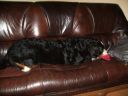 a vrh