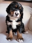 Mimi
