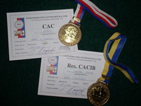 MVP Brno