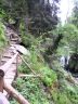 Jesen�ky 2008